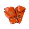 The Texas Fighter